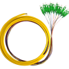Pigtails Simplex, 6, 12 Fiber 900um, 12 Fiber 250um and Ribbon