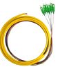 Pigtails Simplex, 6, 12 Fiber 900um, 12 Fiber 250um and Ribbon - Image 2